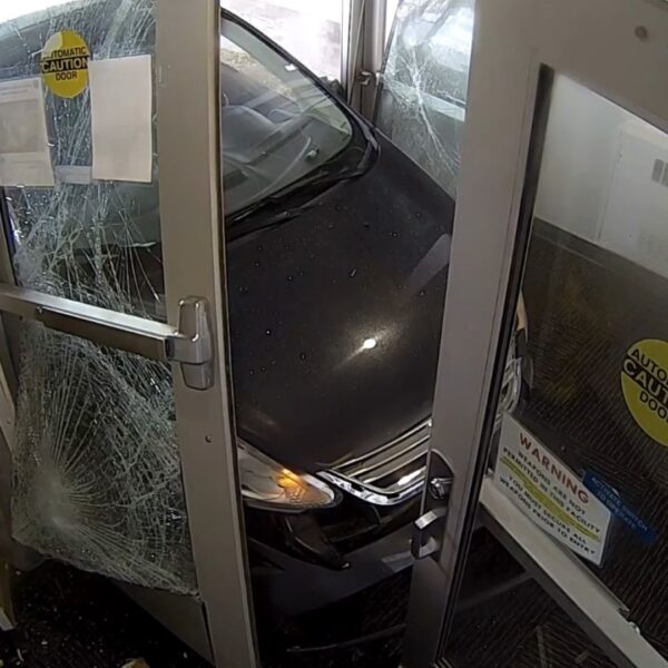 Alaska Driver Crashes Car Into Police Department Before Allegedly Bear Spraying Officers