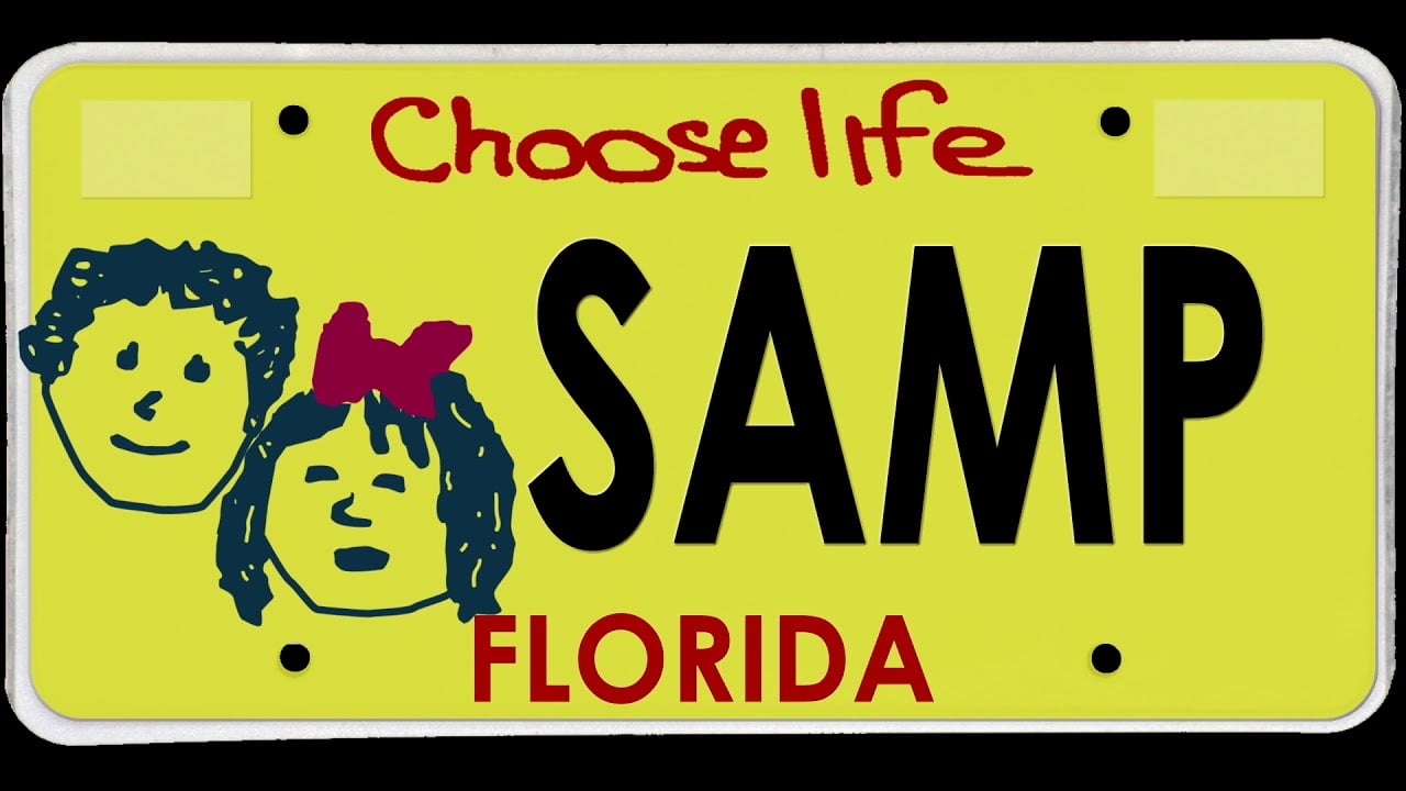 The Hidden Politics Behind America’s Specialty License Plates.