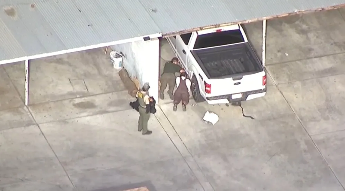 mountain lion hiding under truck