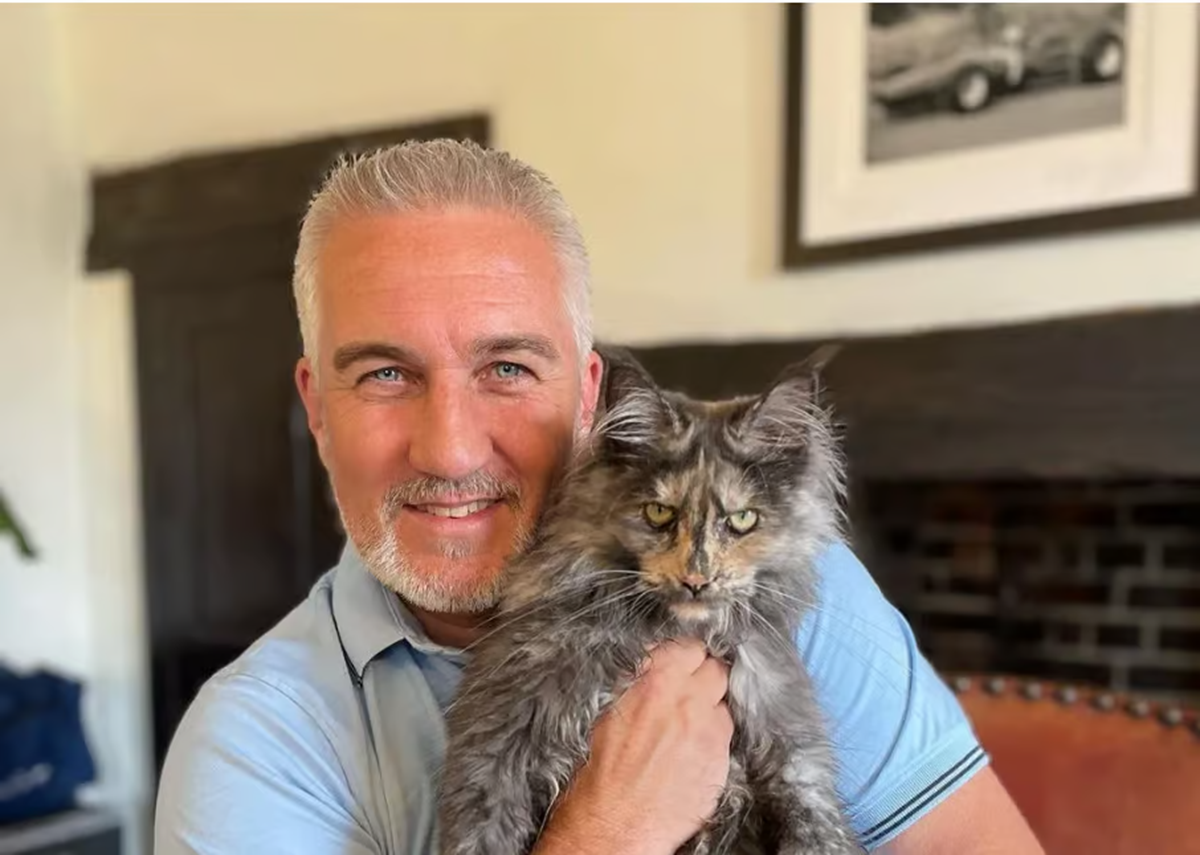 paul hollywood with his cat