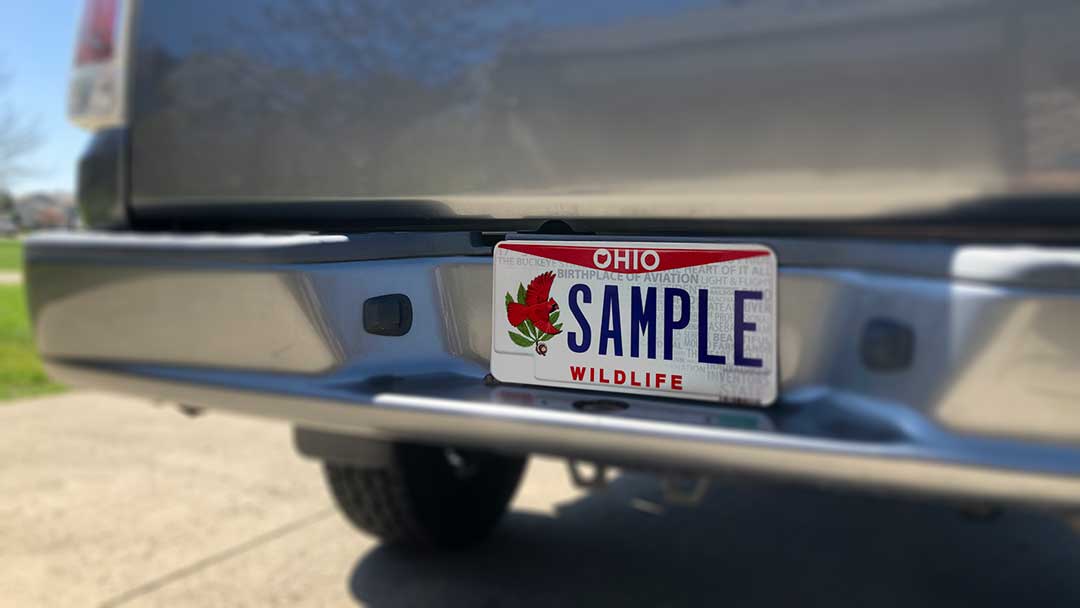 The Hidden Politics Behind America’s Specialty License Plates.