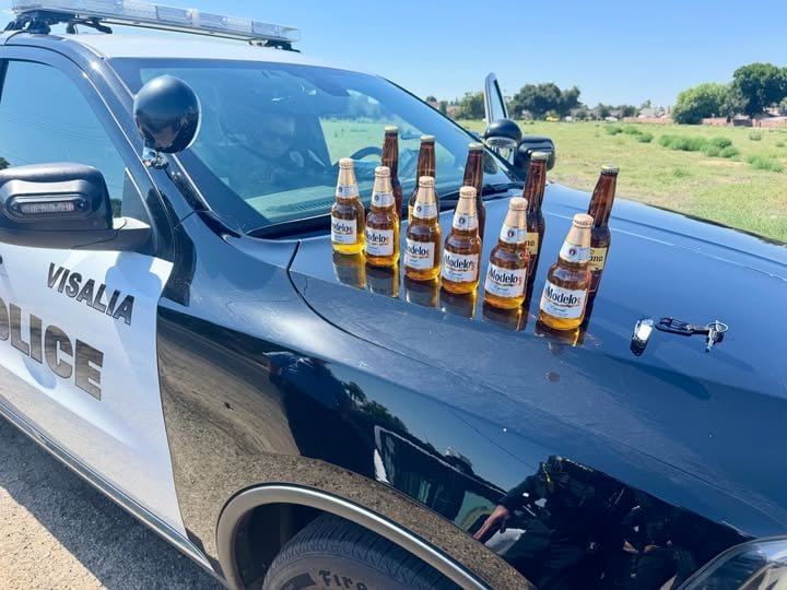 police arrest drunk knife wielder