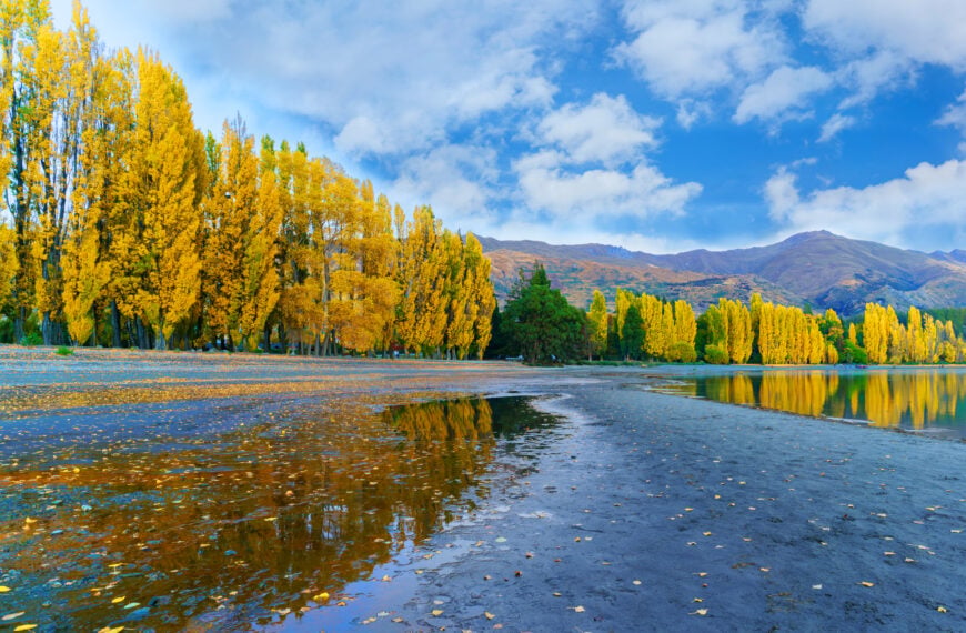 View of Lake Wanaka with reflection in the morning , Wanaka , South Island of New Zealand