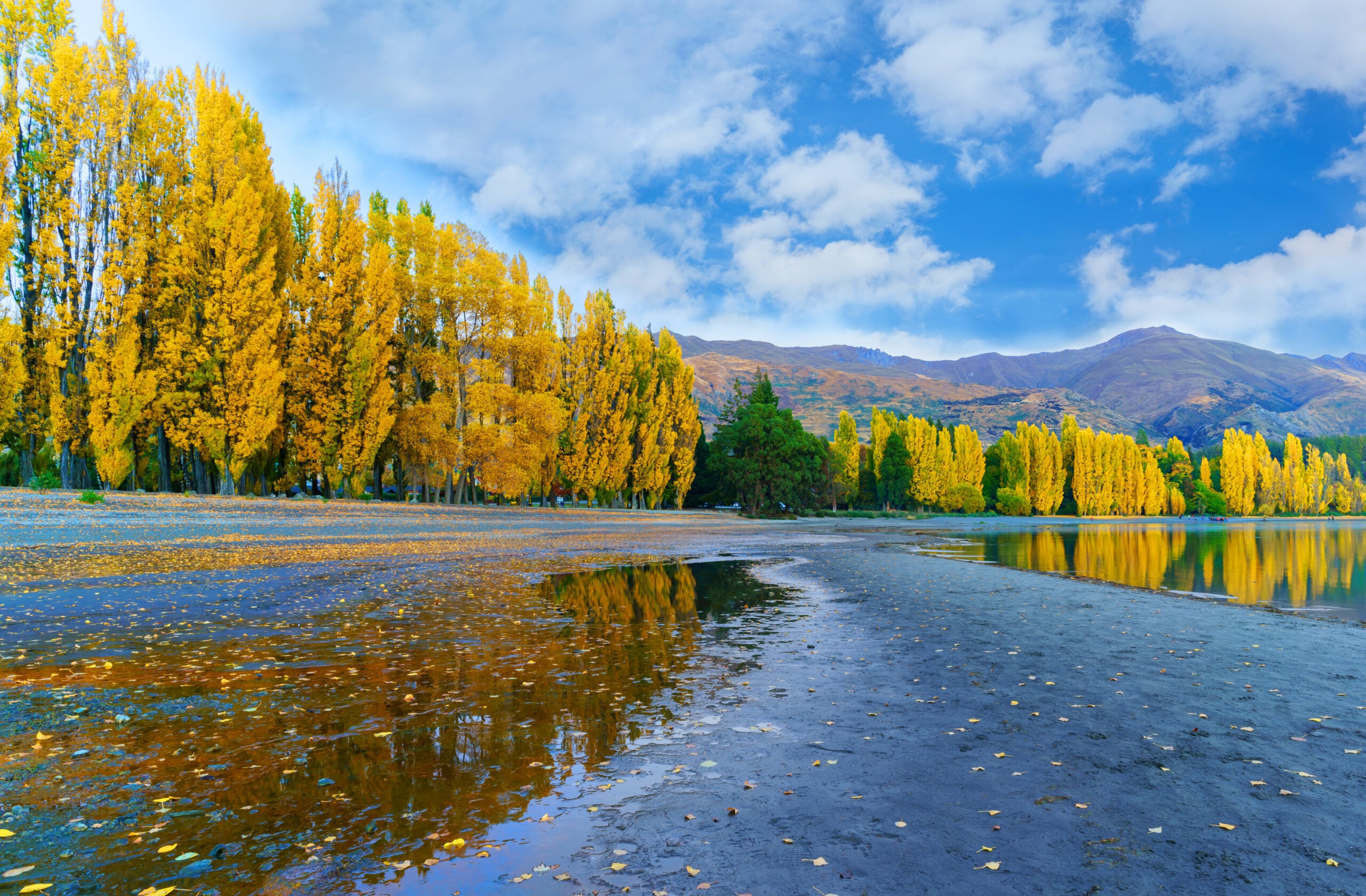 View of Lake Wanaka with reflection in the morning , Wanaka , South Island of New Zealand