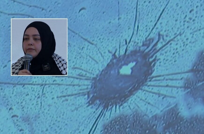 Texas Driver Seeks Answers After Bullet Suddenly Strikes Windshield on Interstate