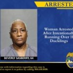 woman arrested for driving over ducks