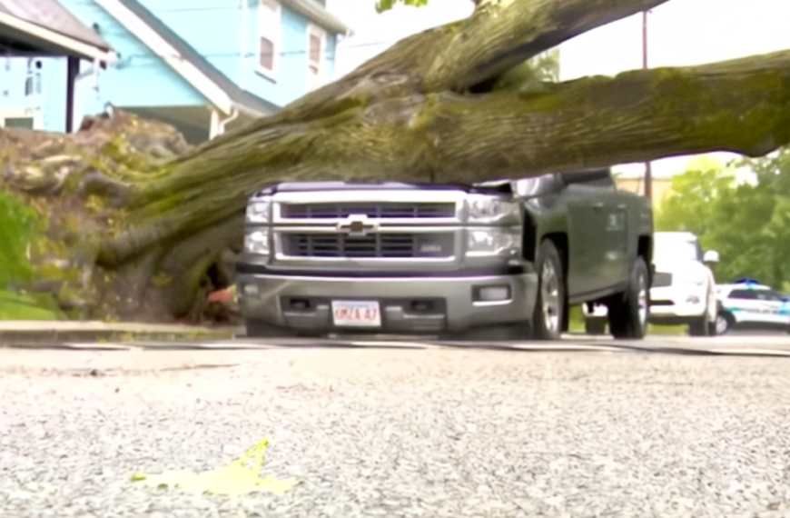 A New England Windstorm Took Down Trees, Power Lines, and One Very Unlucky Truck