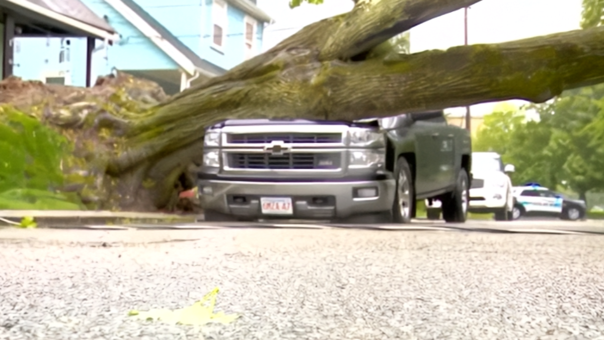 A New England Windstorm Took Down Trees, Power Lines, and One Very Unlucky Truck