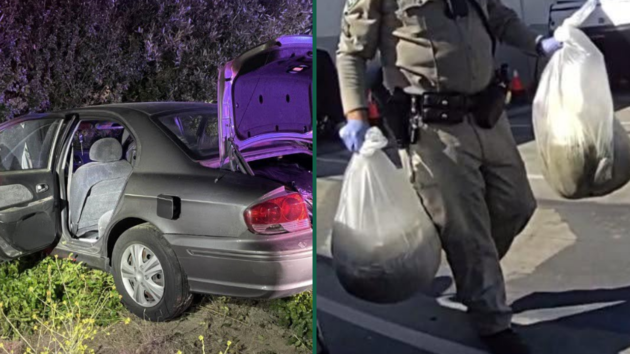 Armed Cannabis Burglary Crew Led Police on Wild Pursuits Across California