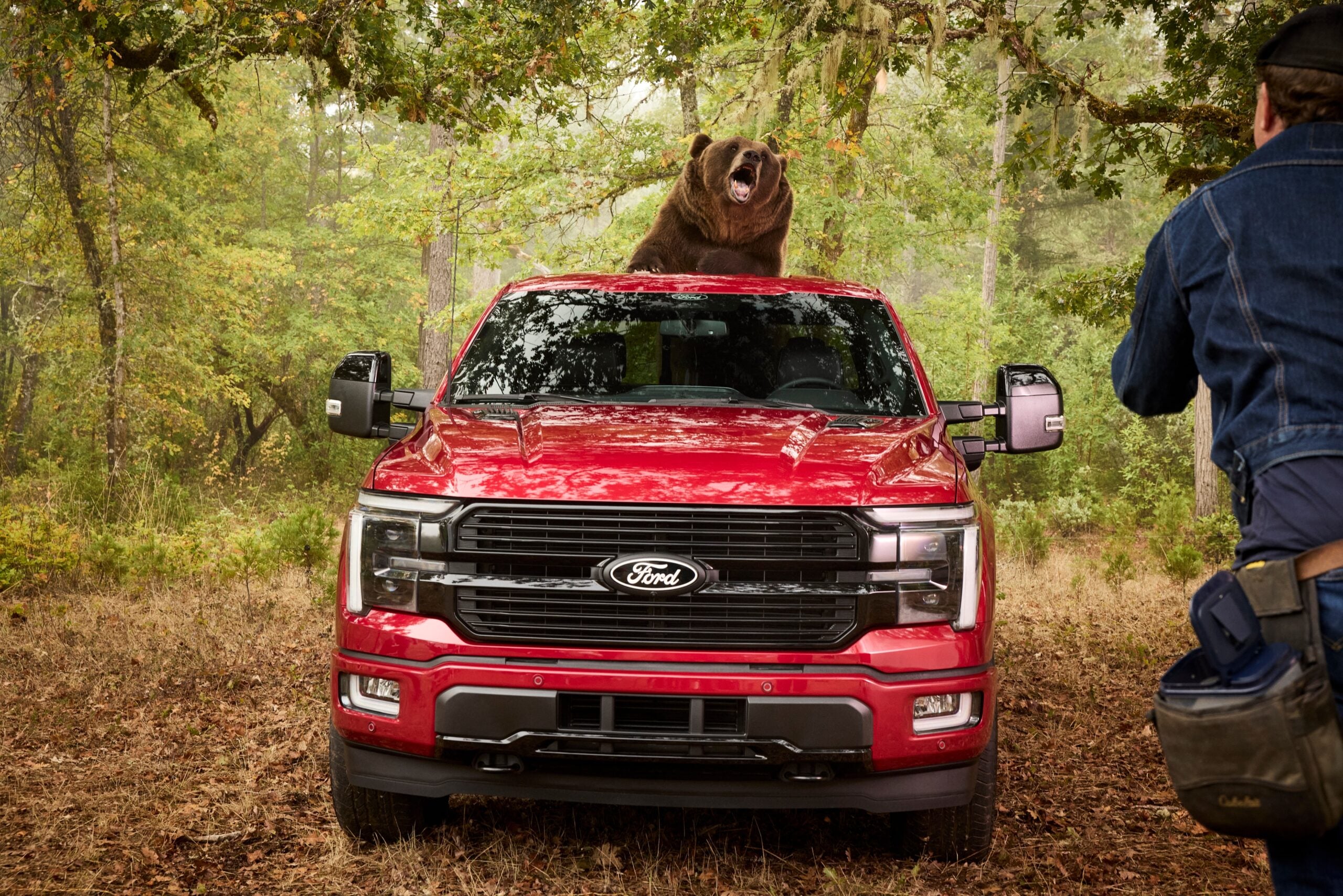 Bear Security 7 scaled