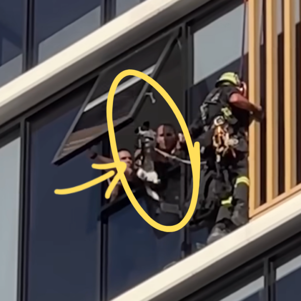 Police Rescue Dog From High-Rise Apartments and Reunite Her With Owners