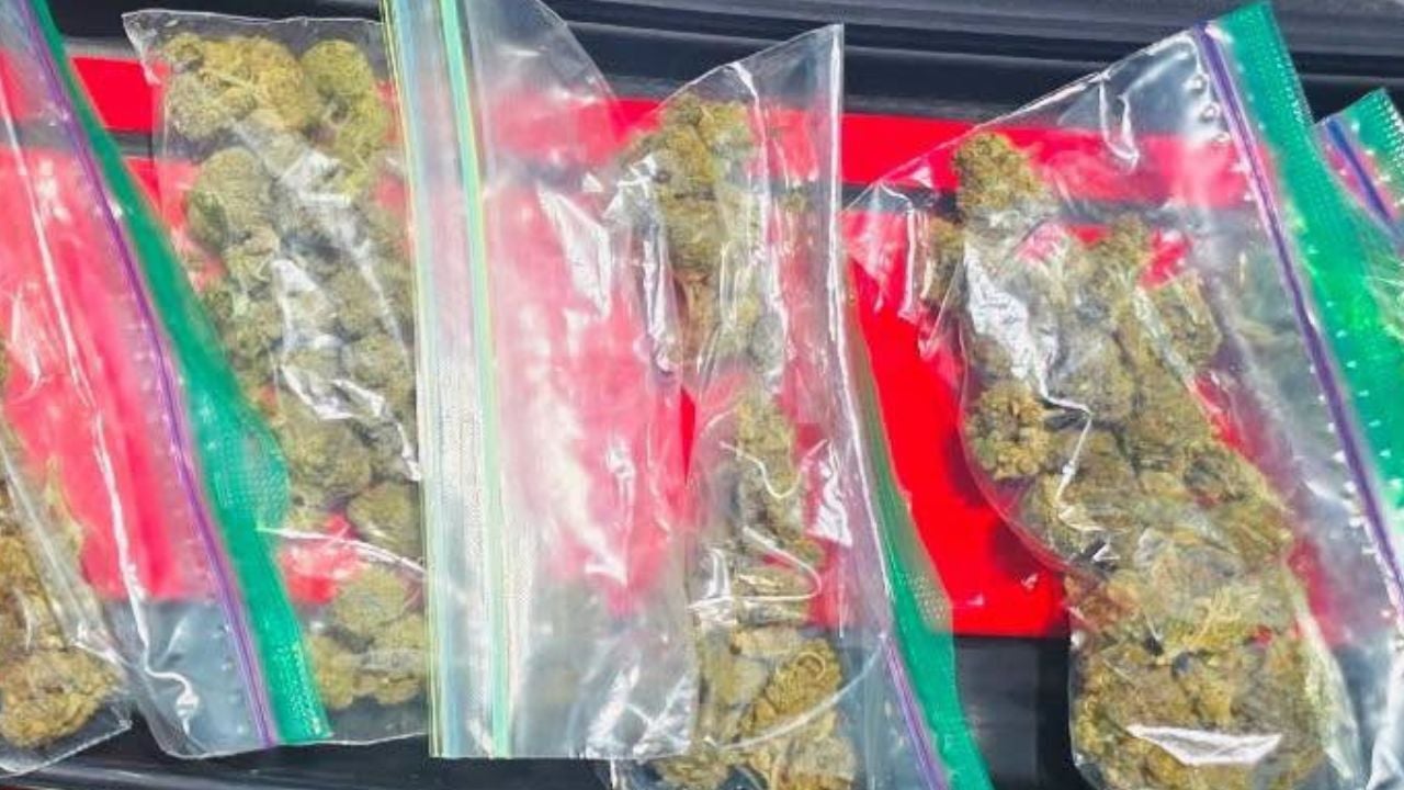 drugs inside elderly man's corvette