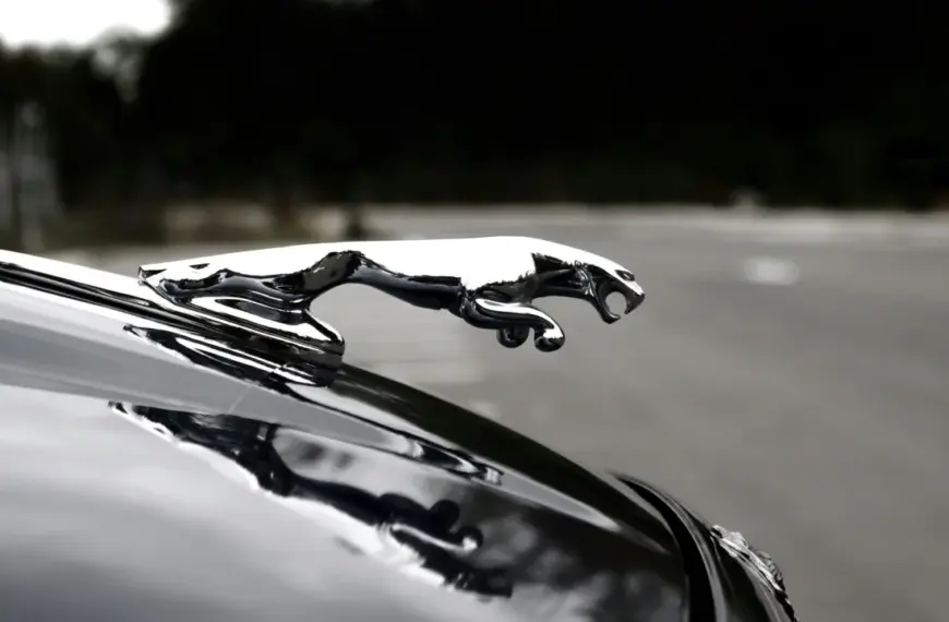 Jagaur Emblem on car