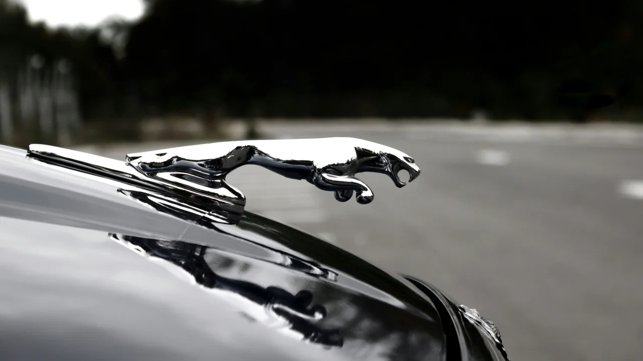 Jagaur Emblem on car