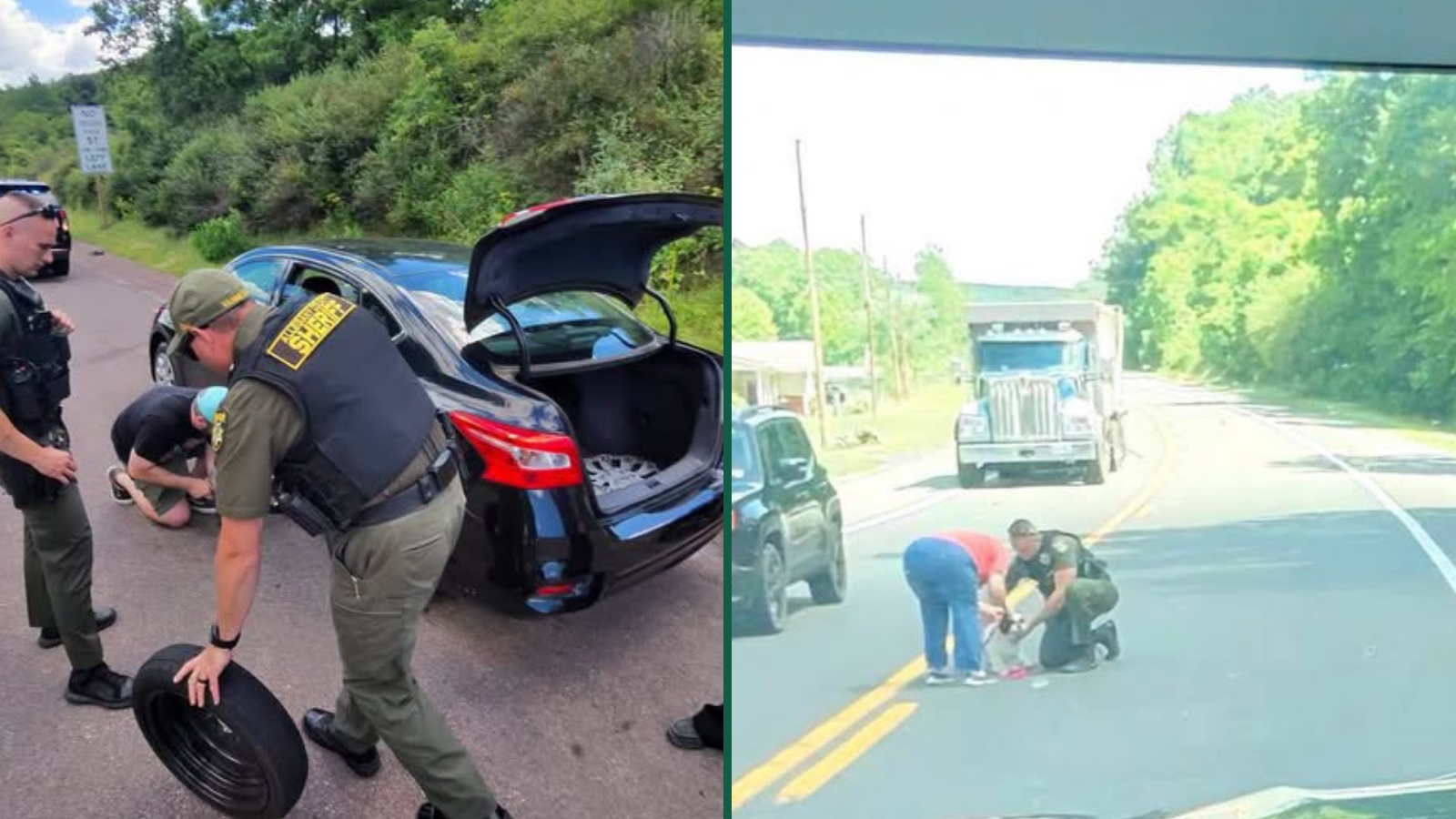 Maryland Deputies Went From Accident Investigation to Animal Control in Record Time