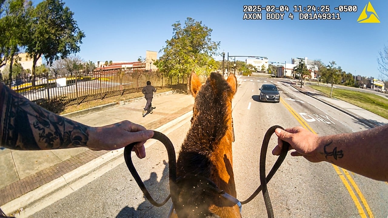Mounted JSO Horse Helps Capture Fleeing Drug Suspect After Chase Through Jacksonville McDonald's.
