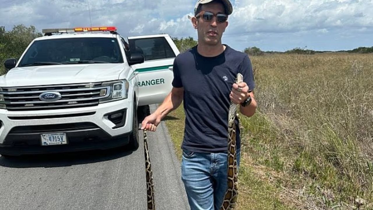 Florida Cyclist's Python Catch Ends in a Fine, Not a Thank You.