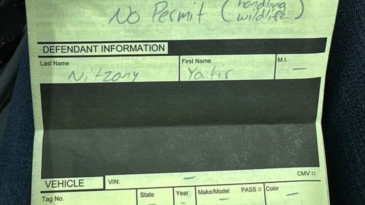 Florida Cyclist's Python Catch Ends in a Fine, Not a Thank You.