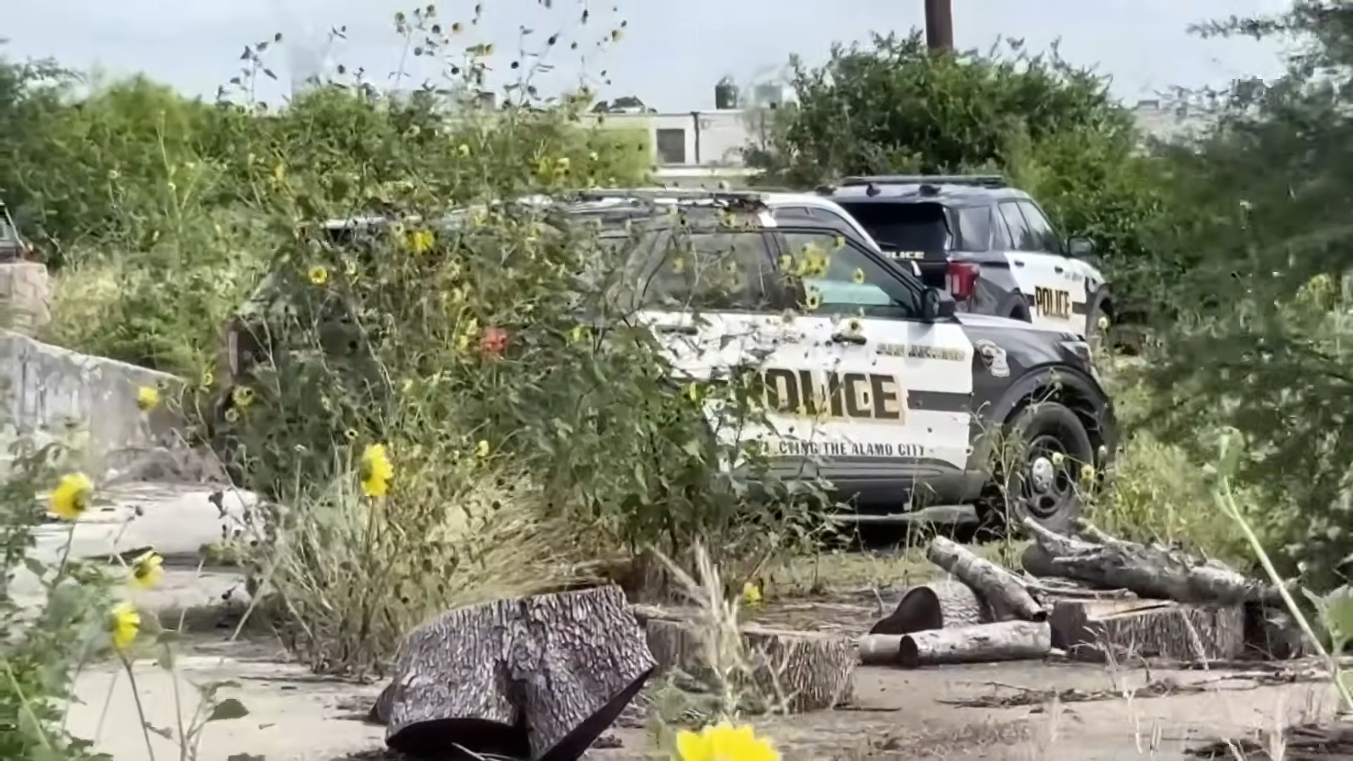 police discover vehicles stolen