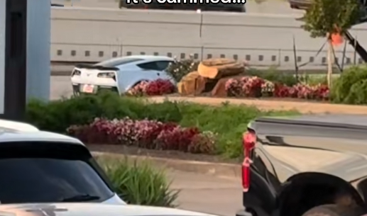 man catches transportation service revving new corvette