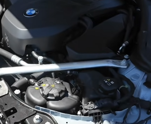 bmw damaged by squirrel