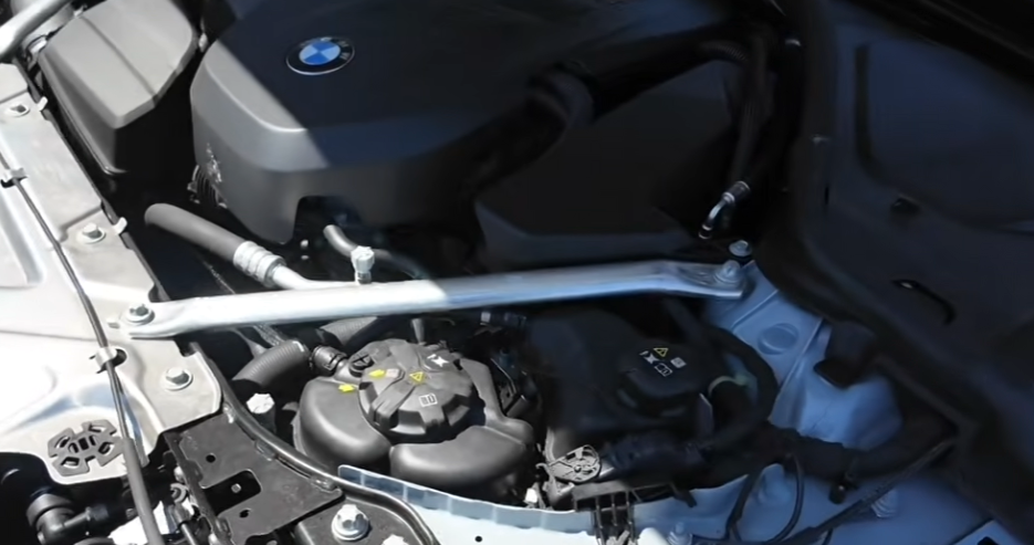 bmw damaged by squirrel