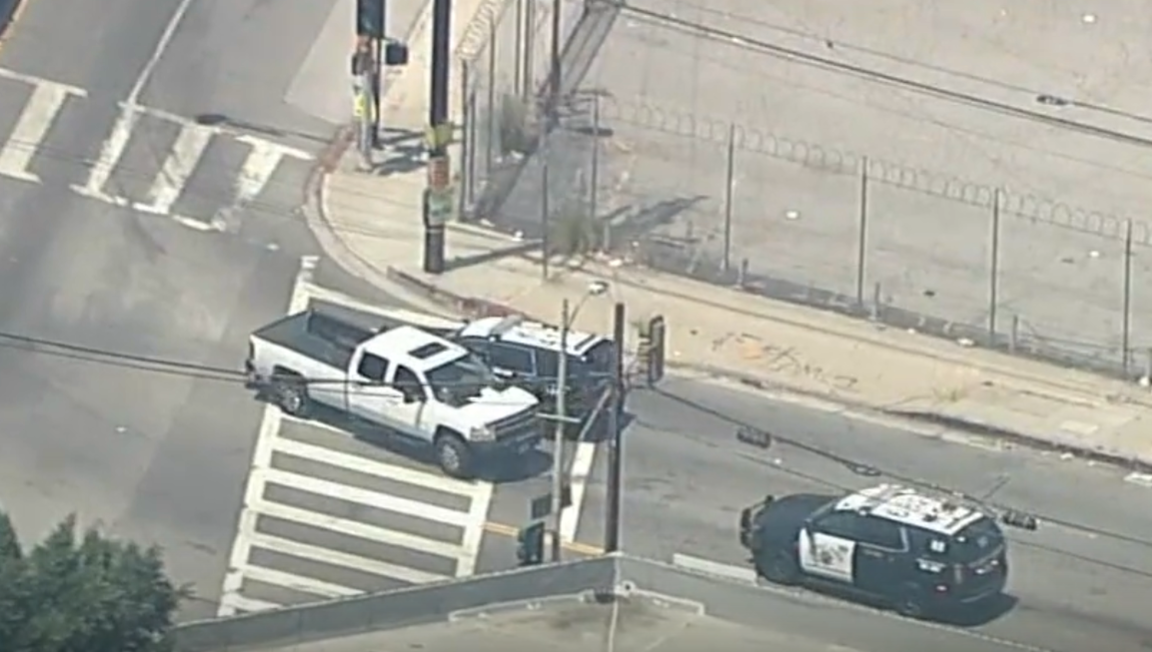 carjacking ends in dog chase