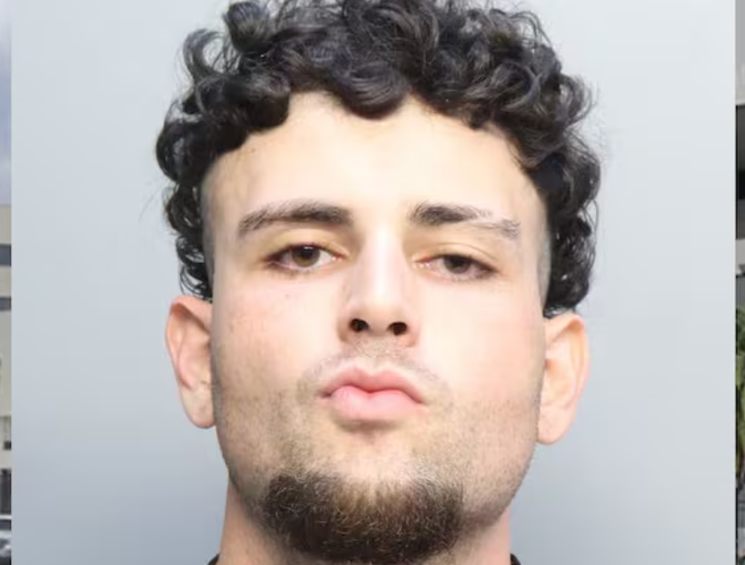man arrested for firing warning shots