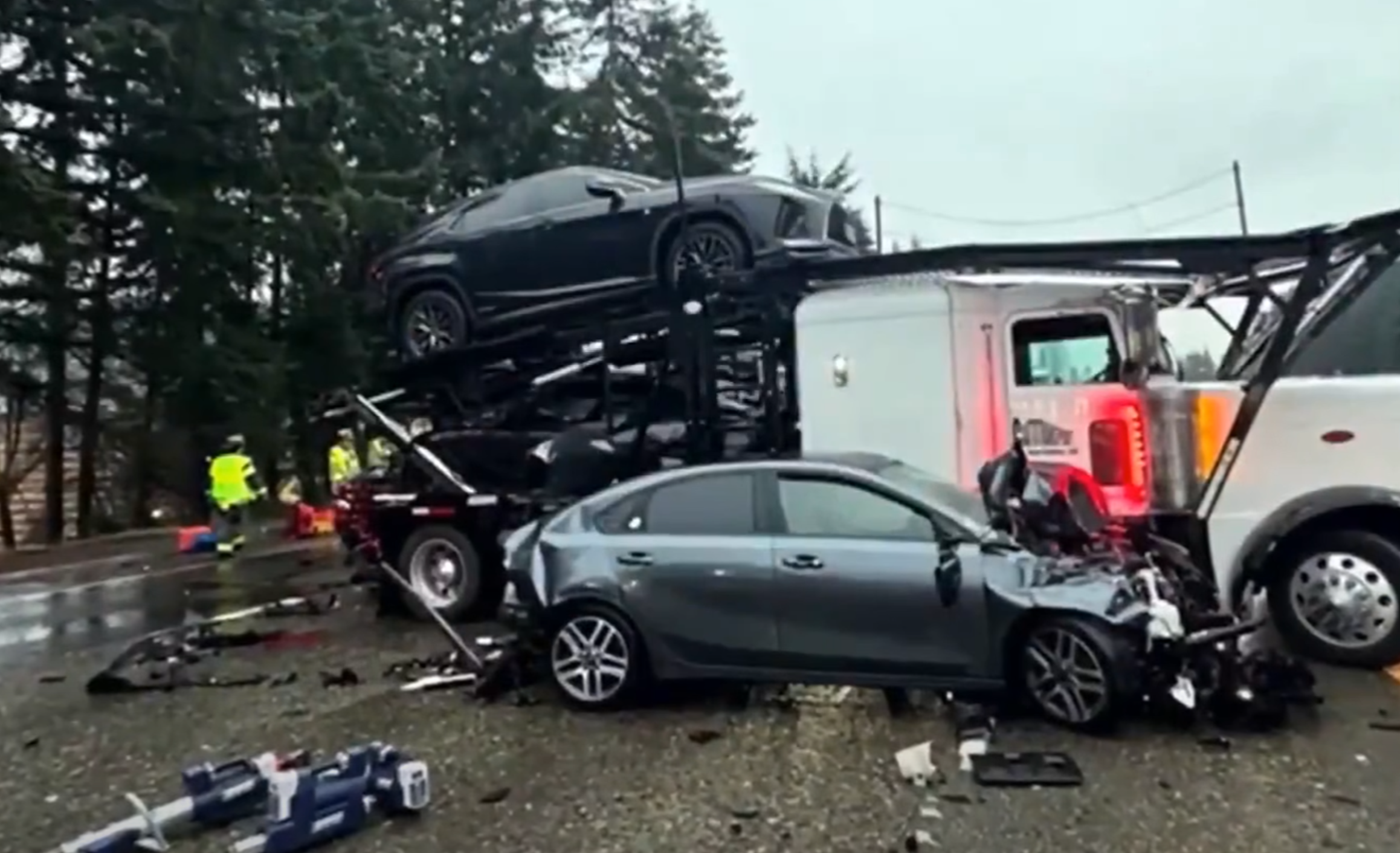 immigrant truck driver hits car
