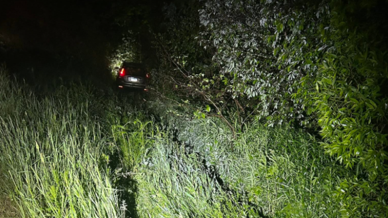 car flies into woods