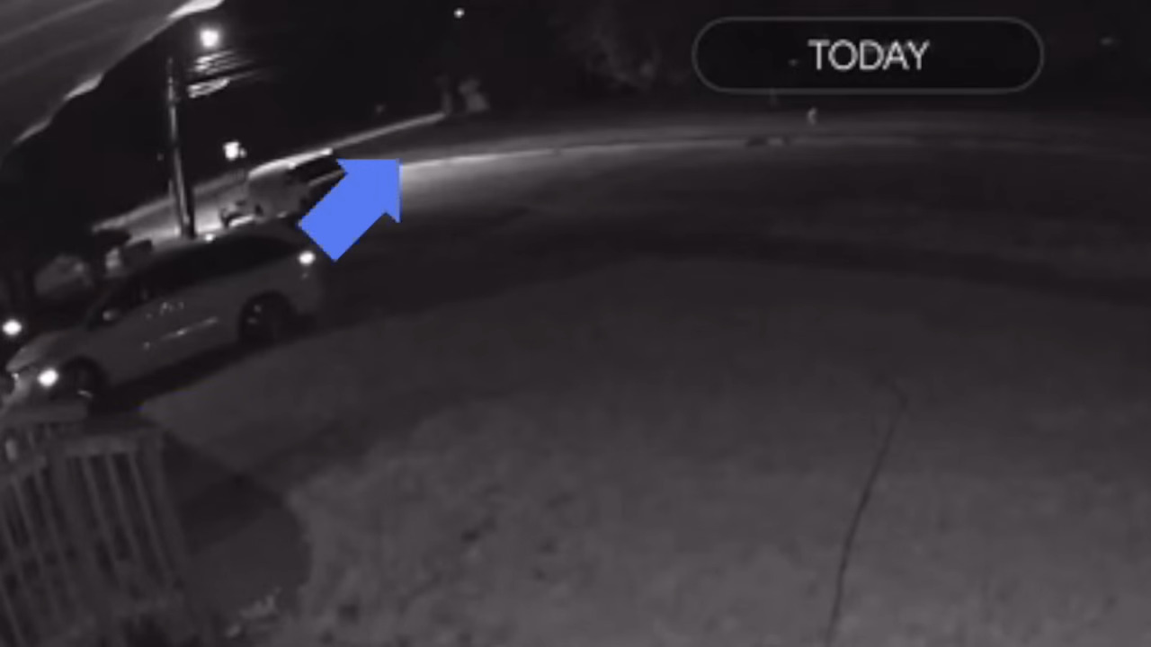 Car stolen from closed garage