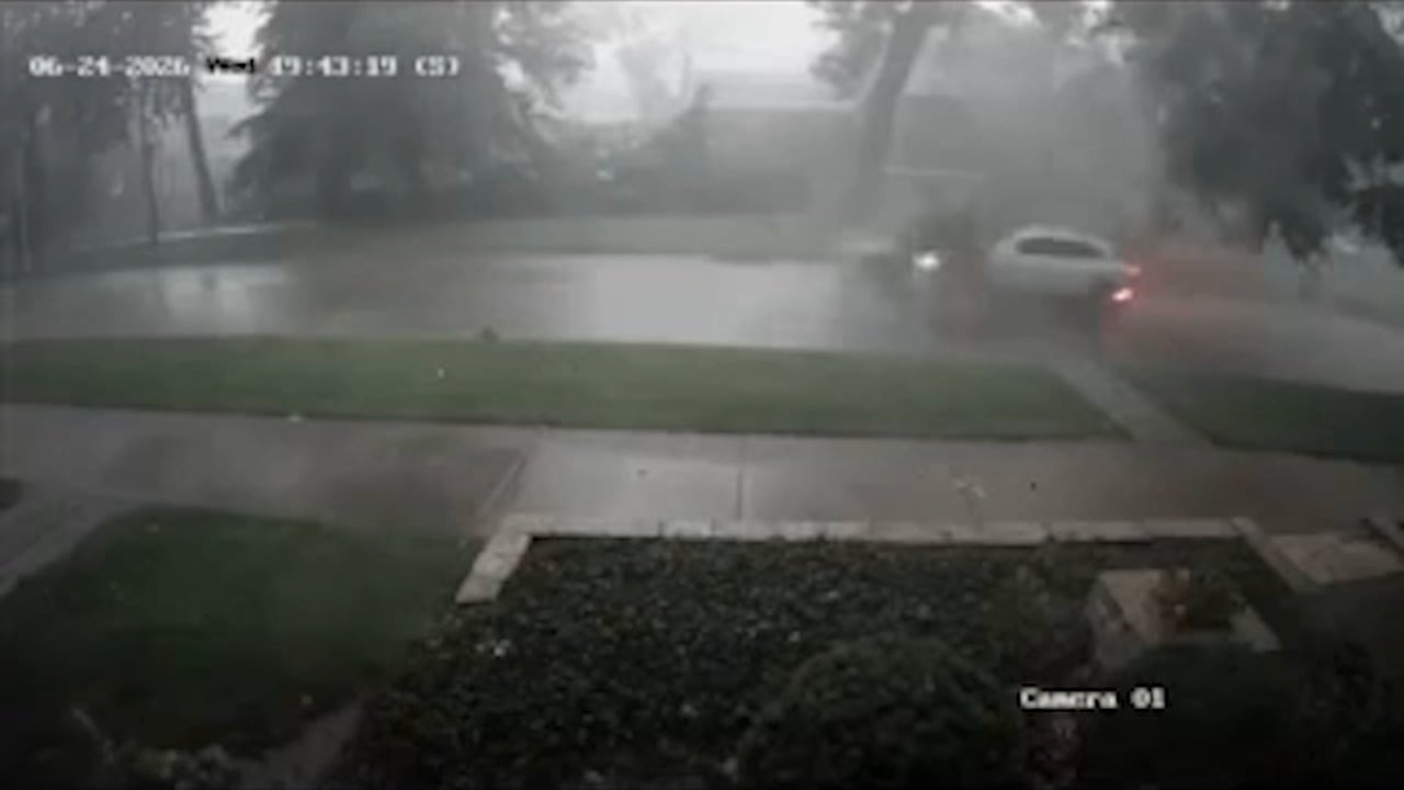 Surveillance video as a large tree branch fell on a moving car