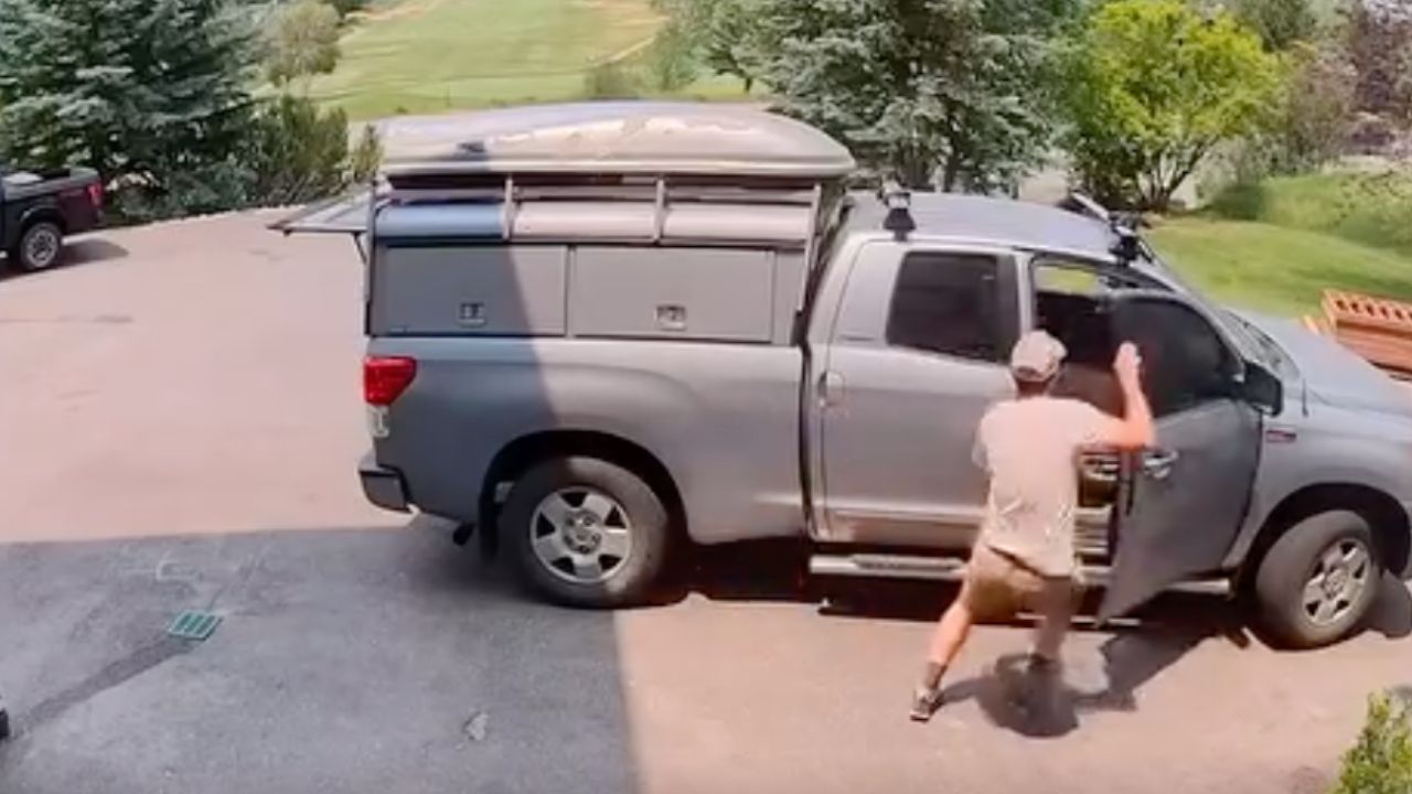 Colorado homeowner jumps back after opening his truck door and discovering a black bear inside the vehicle.