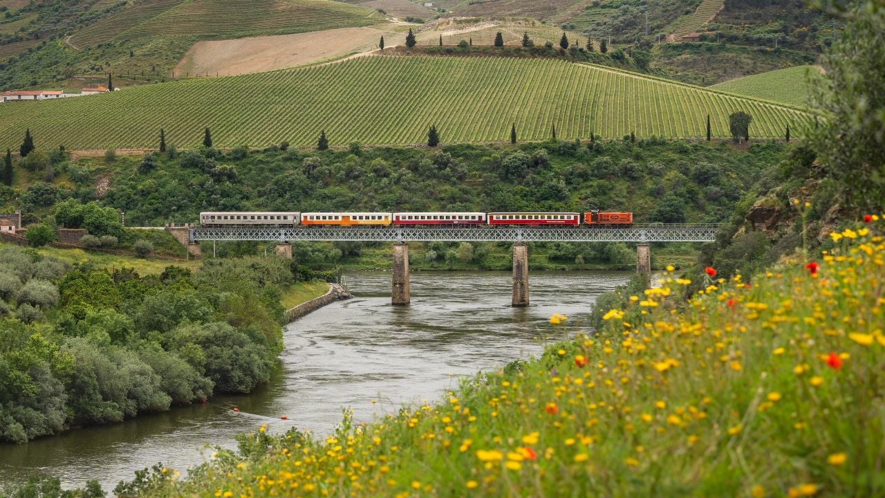 Train crossing a bridge in Portugal's Douro Valley.