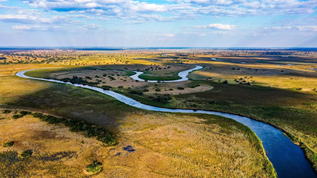 Water channels in the Okavango Delta in northwestern Botswana