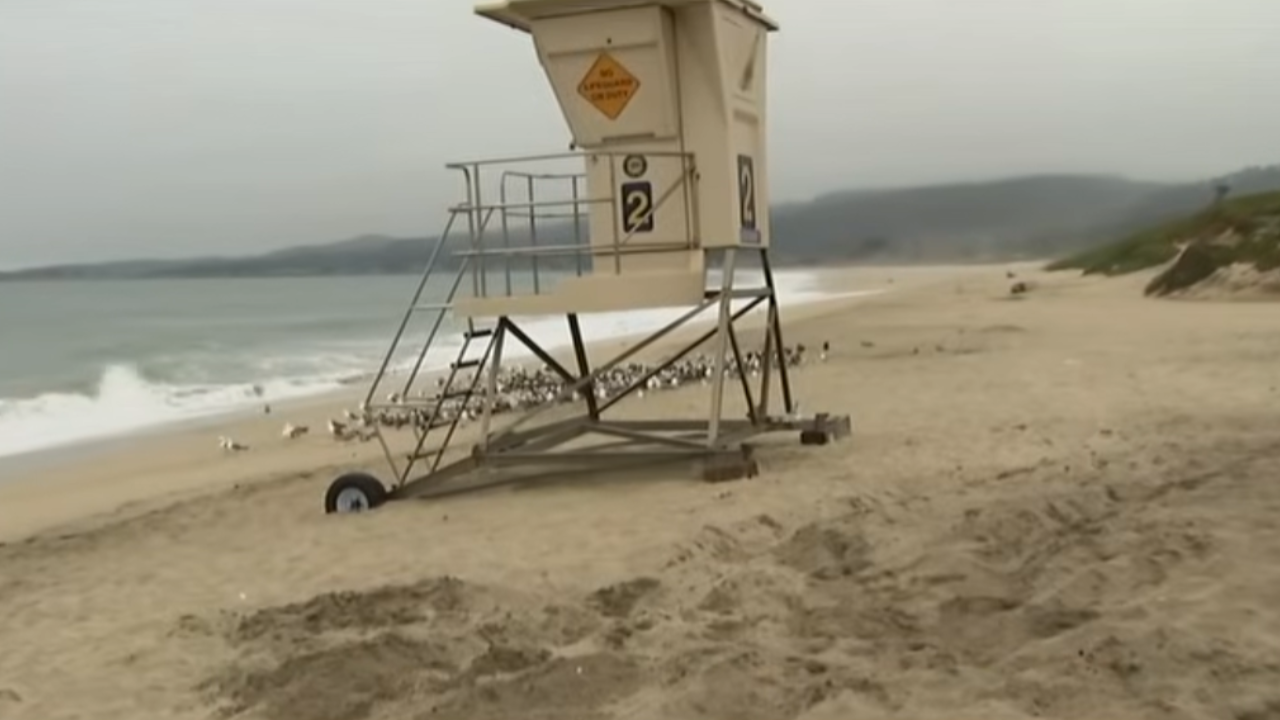 beach where woman was run over by lifeguard