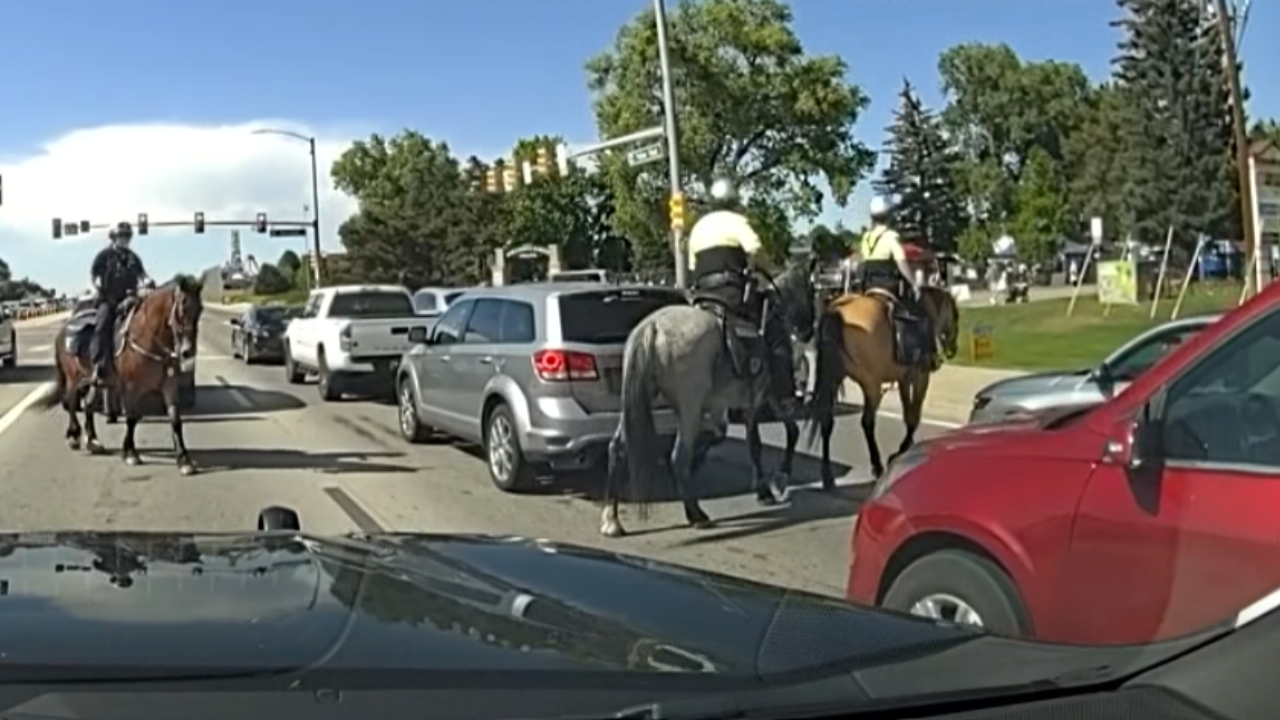 police on horseback blocking street