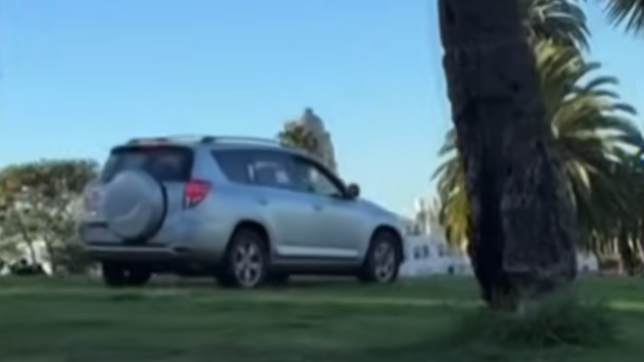 man arrested driving through park