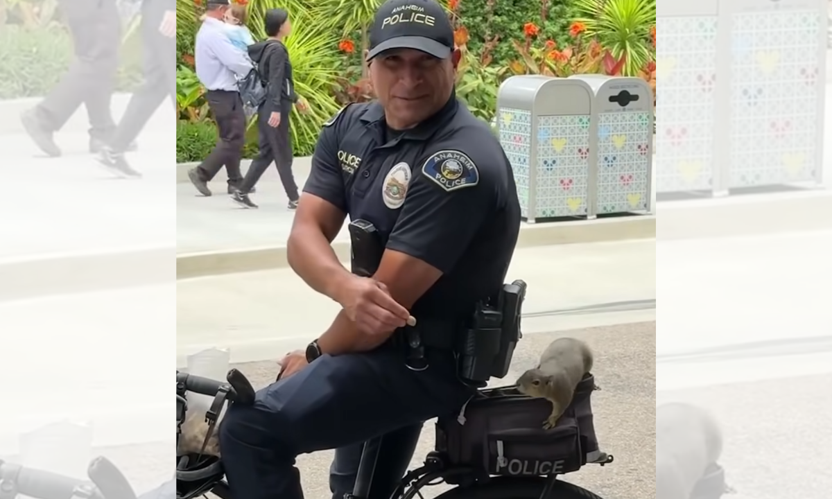 cop with squirrel