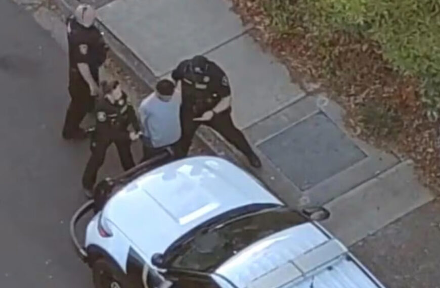 Deputies use drone to catch man