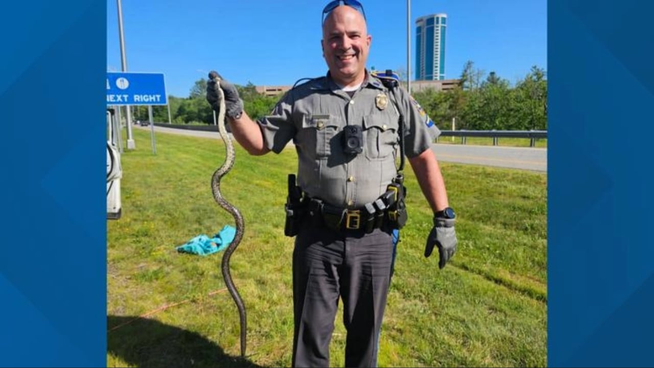 State Police trooper comes to rescue after woman discovers snake