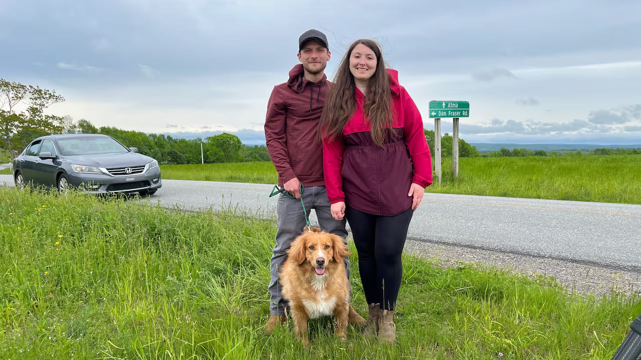 Dog reunited with his owners