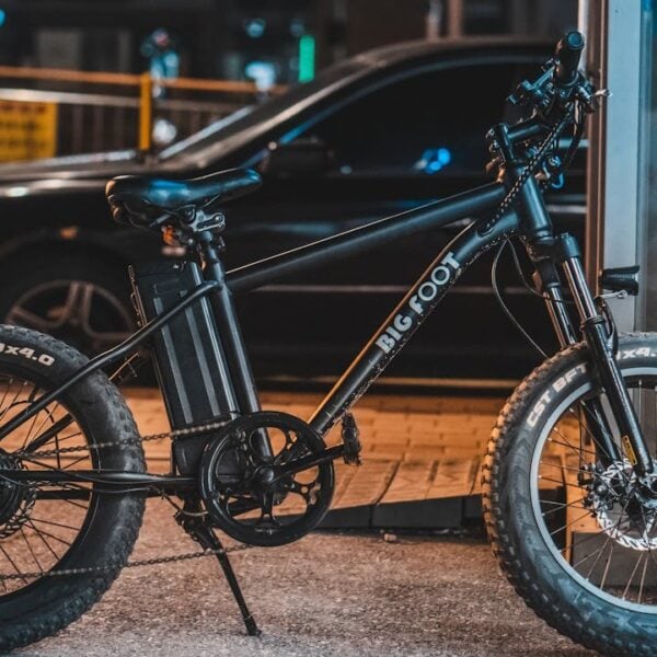 e bike gangs
