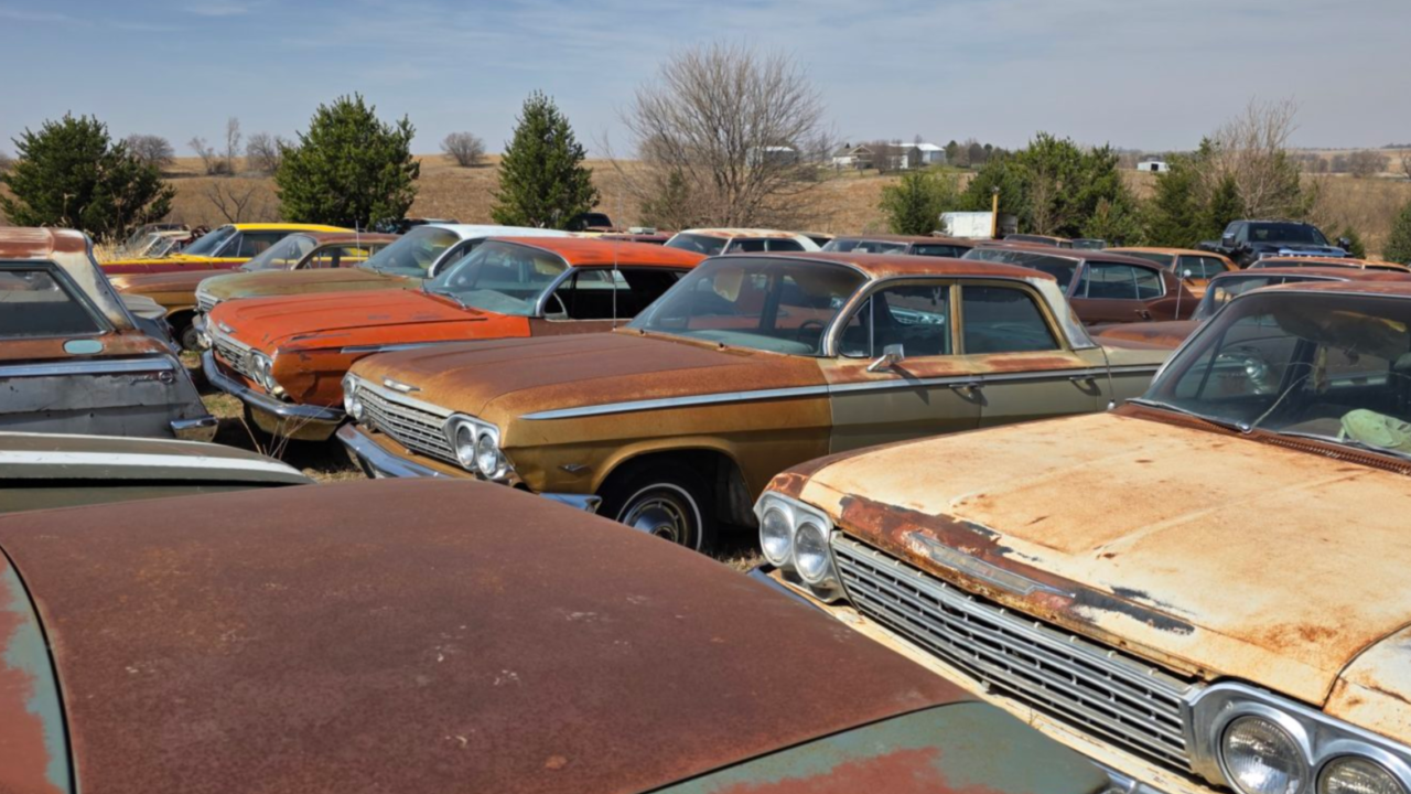 impala collection e1780997441805