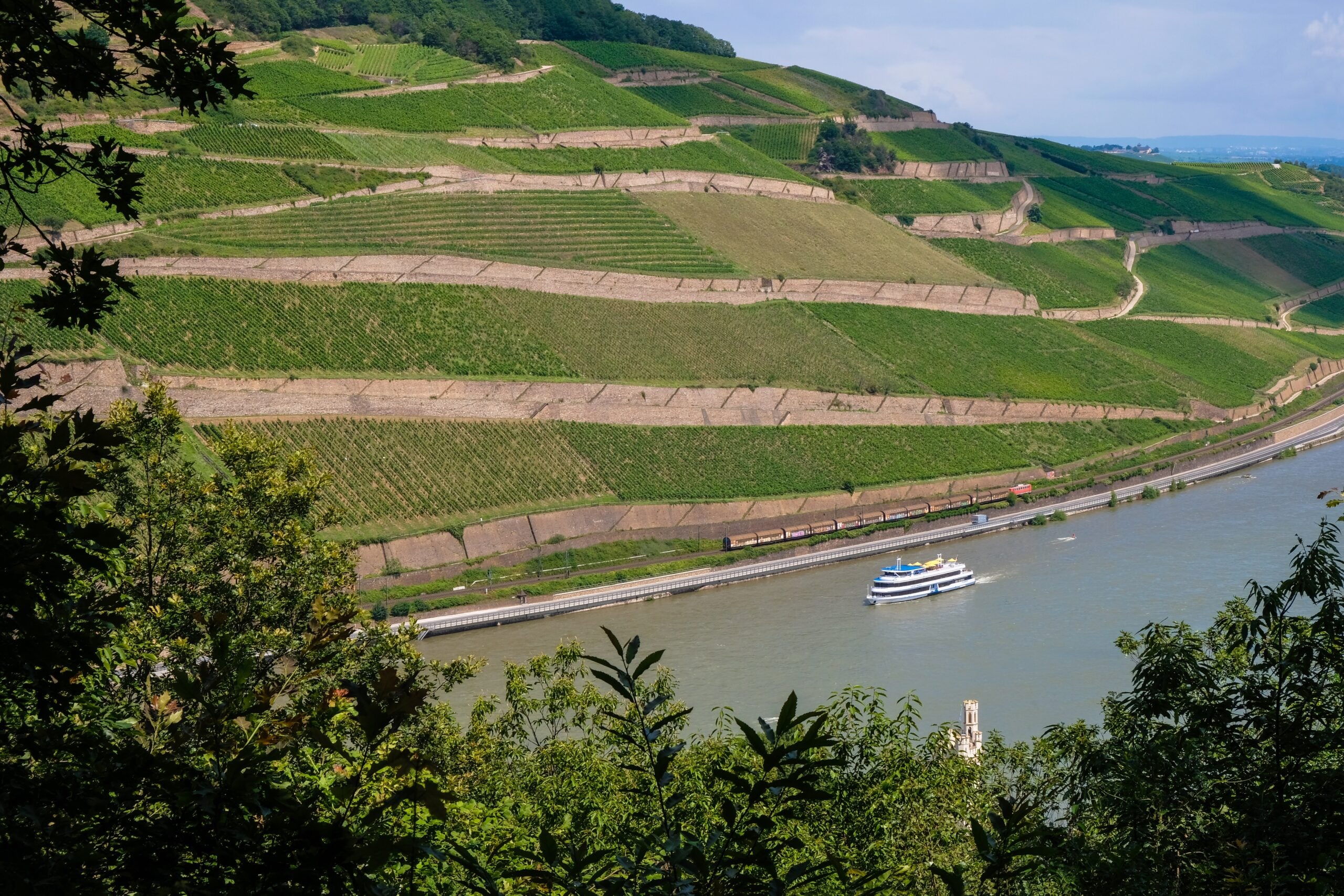 Rhine River, vineyards, train tracks, castle ruins, and a cruise ship in Germany.