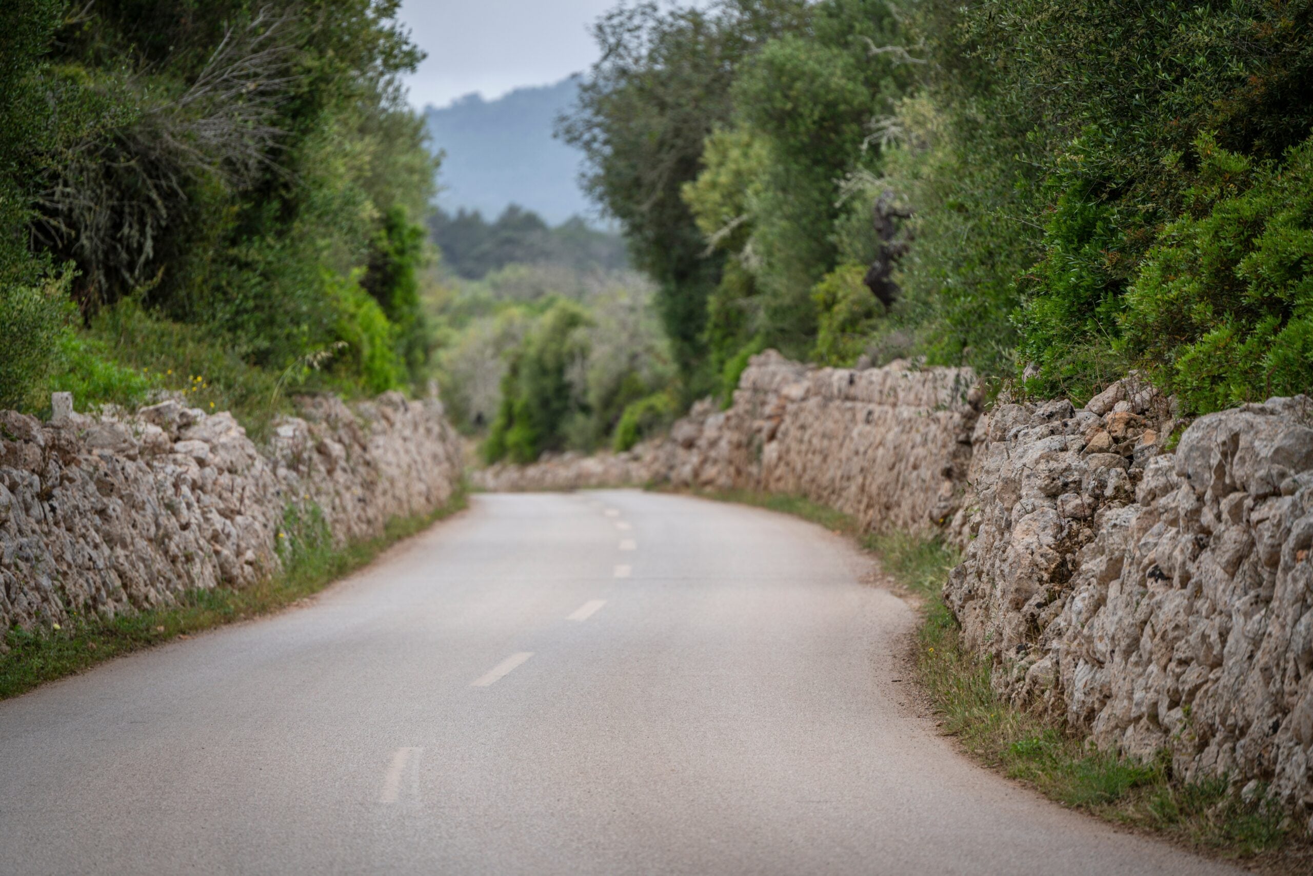 Country road between stone walls and Mediterranean bushes