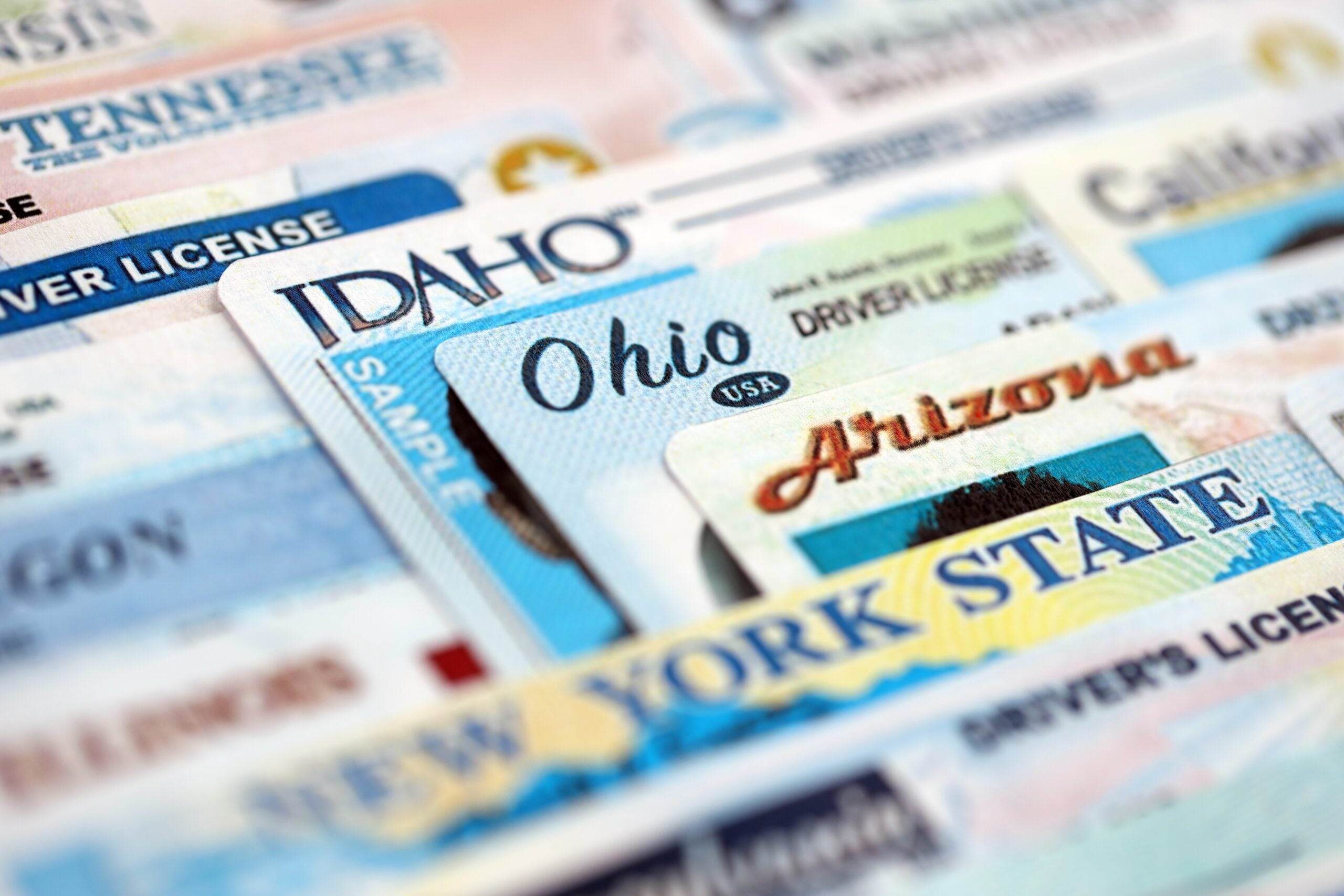 pile of drivers license