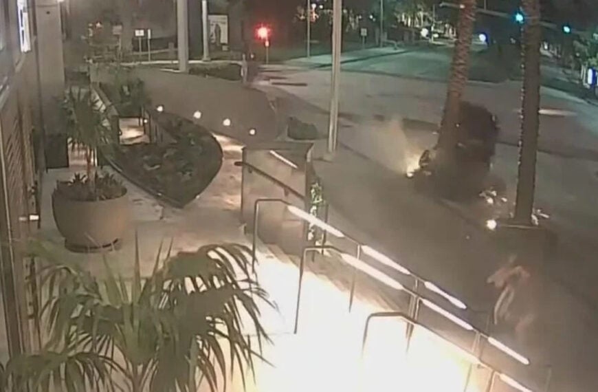 Car crashes into tree