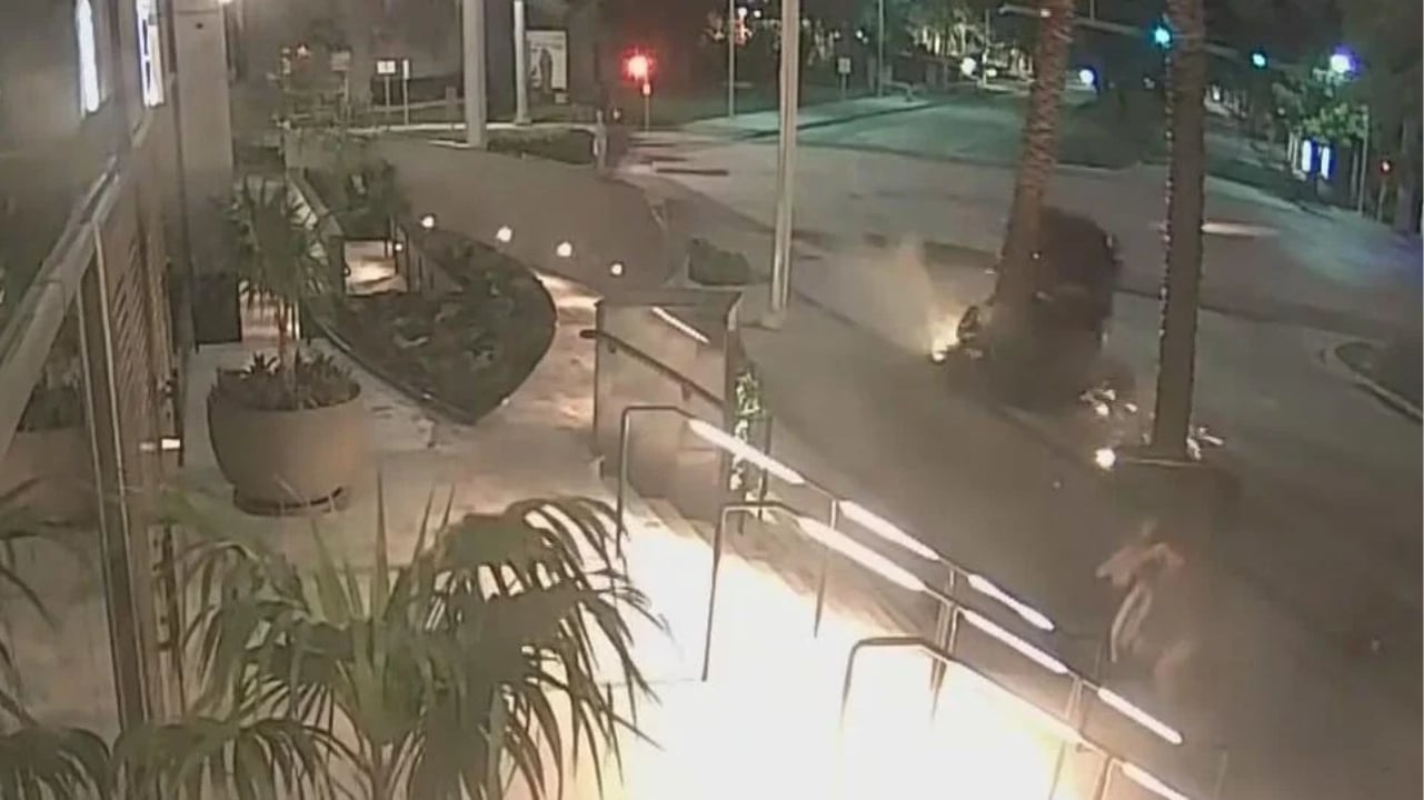 Car crashes into tree