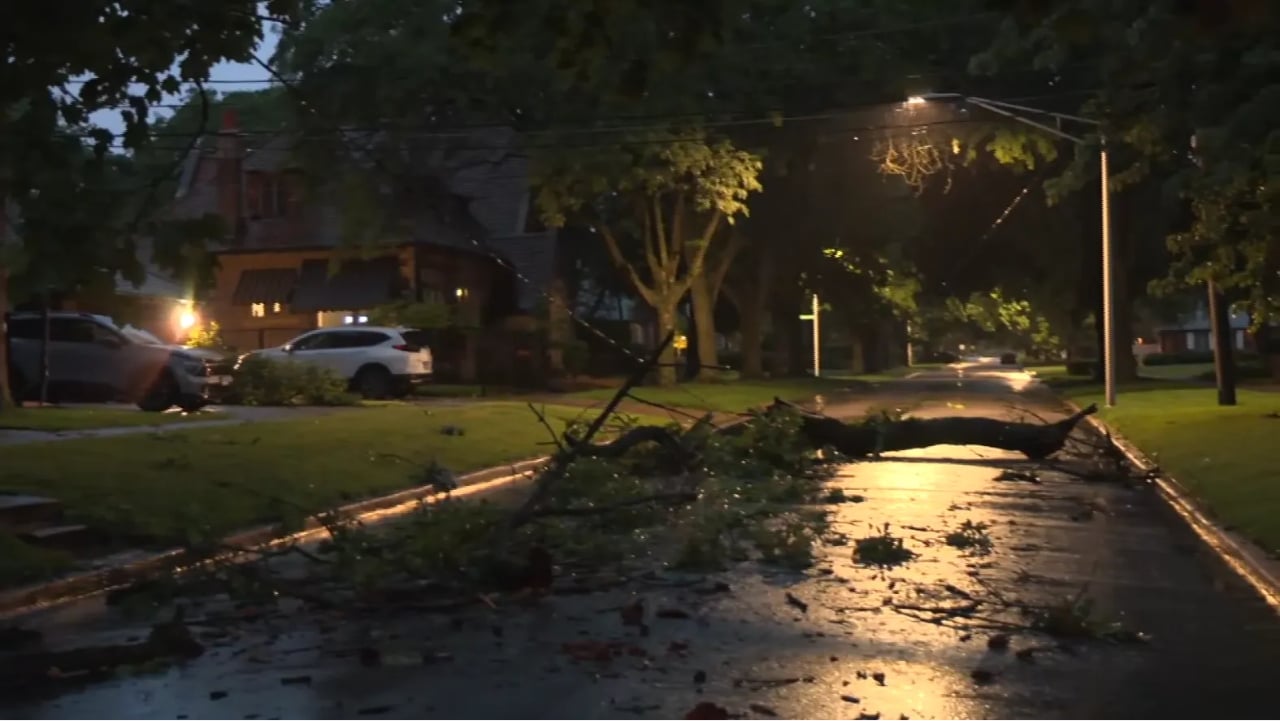 Surveillance video as a large tree branch fell on a moving car